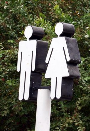 Égalité Femme-Homme ? / Débat / Maison Proximum / Lièvre d'Or / Dreux / 19 janvier / 16 h. @ DREUX - Maison Proximum Dunant-Kennedy