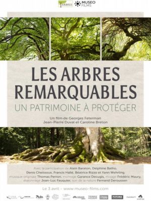 Les Arbres remarquables / Rex / Nogent-le-Rotrou / 6 décembre / 18 h. 15 @ NOGENT-LE-ROTROU - Cinéma REX