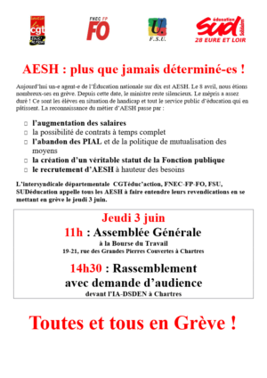 Rassemblement des AESH / devant la DSDEN / Chartres / 3 juin / 14 h. 30 @ CHARTRES - DSDEN (ex-IA)
